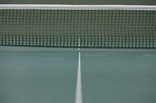 开云体育官方网站-法国乒乓球队翻盘奥地利乒乓球队，水谷隼绝境逆转